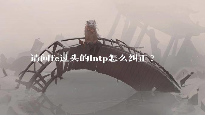 请问fe过头的intp怎么纠正?
