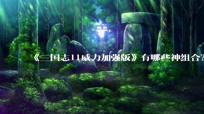 《三国志11威力加强版》有哪些神组合？