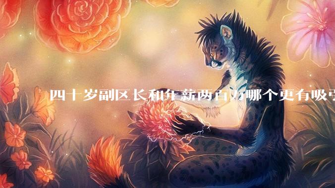 四十岁副区长和年薪两百万哪个更有吸引力？