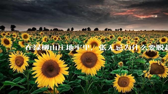 在绿柳山庄地牢里，张无忌为什么要脱赵敏袜子？