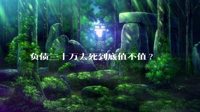 负债三十万去死到底值不值?