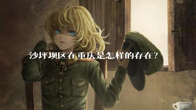 沙坪坝区在重庆是怎样的存在？