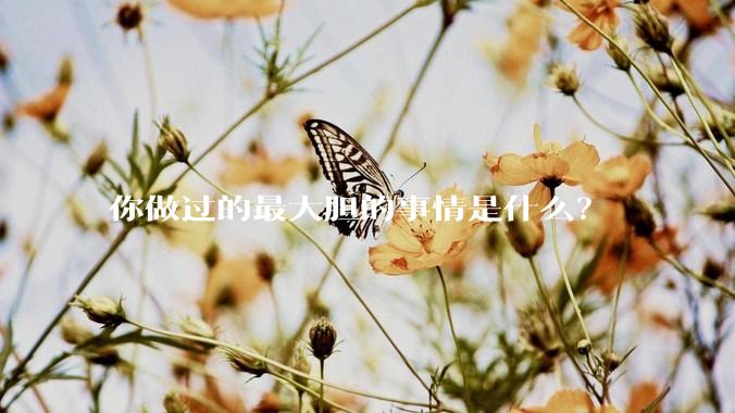 你做过的最大胆的事情是什么？