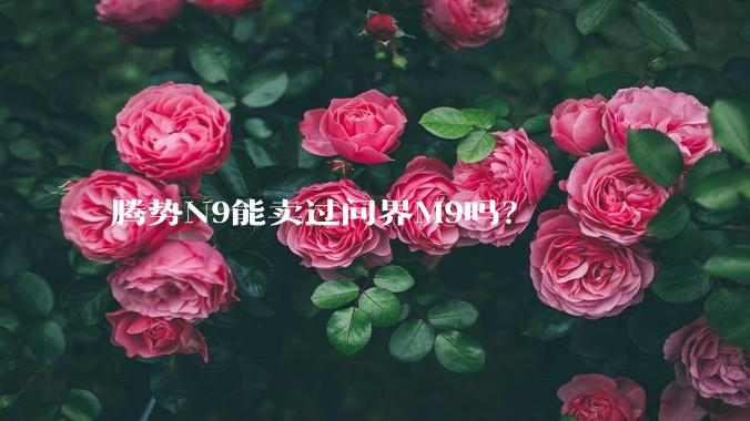 腾势N9能卖过问界M9吗？