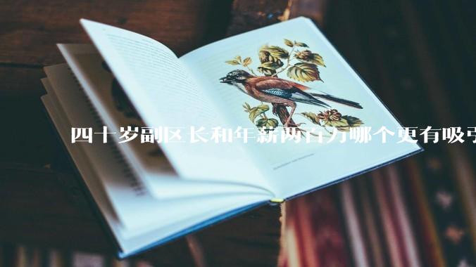 四十岁副区长和年薪两百万哪个更有吸引力？